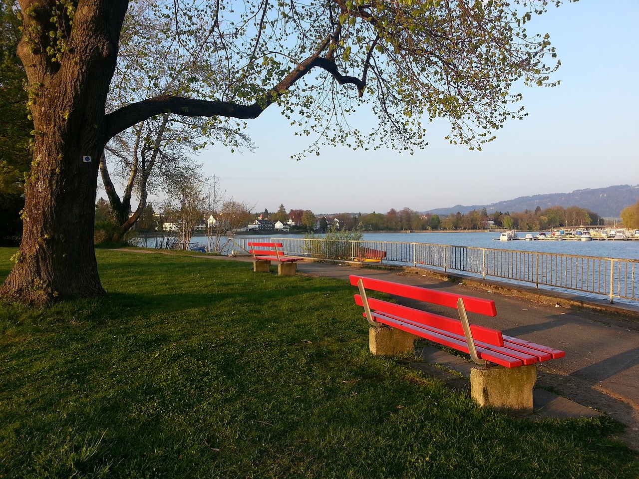 华子等球员 华子等球员