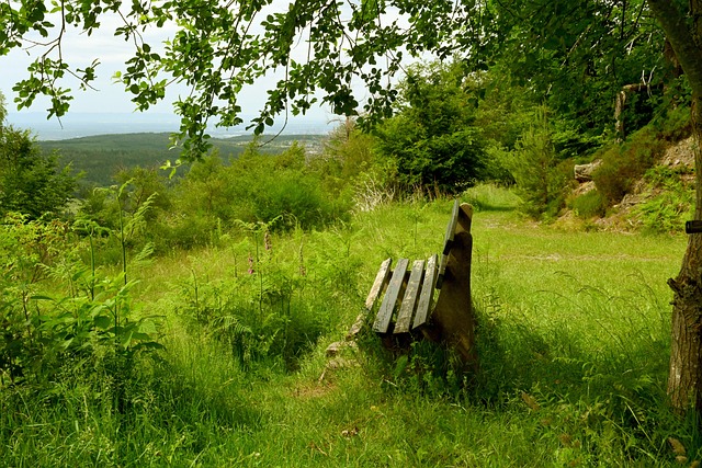 清晰的战略 清晰的战略