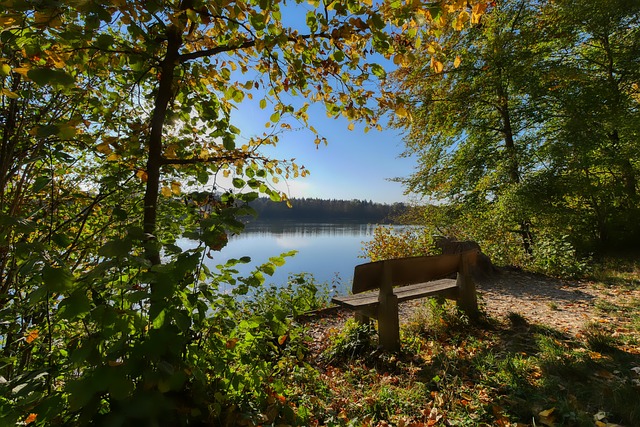 再次证明了 再次证明了