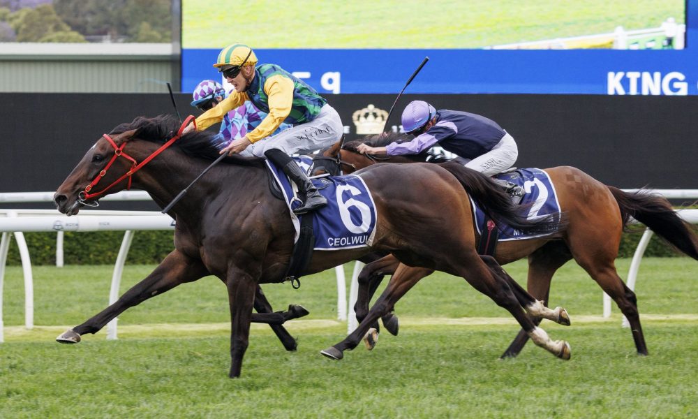 的赛事所带 的赛事所带