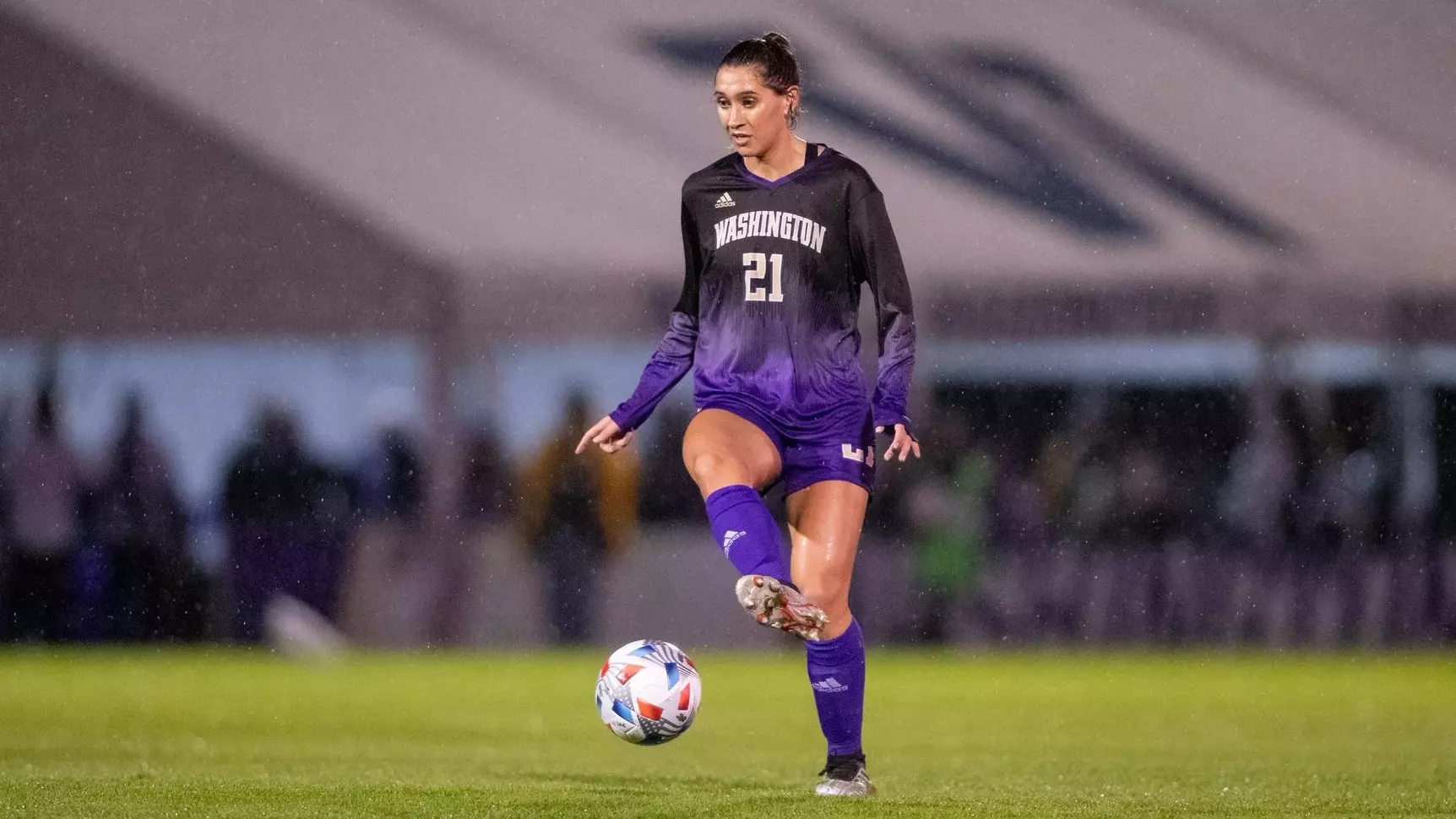 篮网主帅的 篮网主帅的